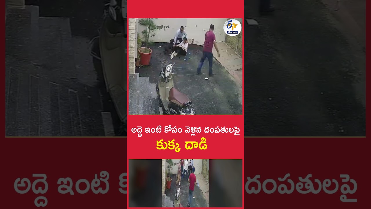 అద్దె ఇంటి కోసం వెళ్లిన దంపతులపై కుక్క దాడి