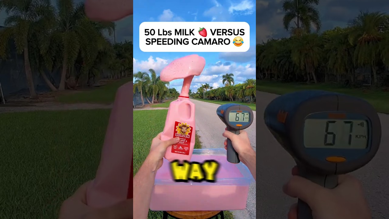 Throwing STRAWBERRY MILK 🍓🥛 at SPEEDING CAMARO in School Zone 😂🤬