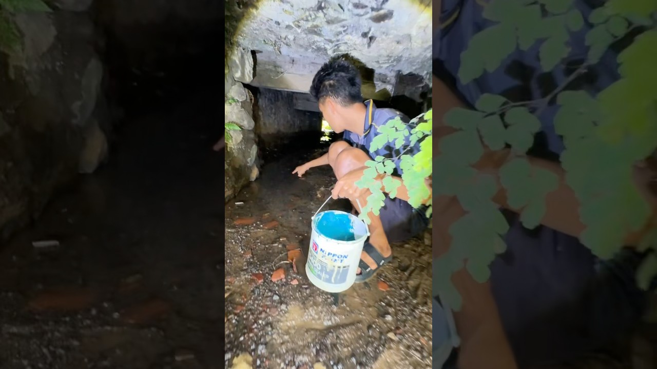 masuk ke dalam gorong-gorong banyak ikan di dalamnya
