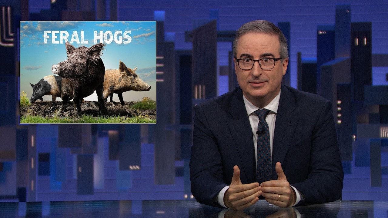 Feral Hogs: Last Week Tonight with John Oliver (HBO)