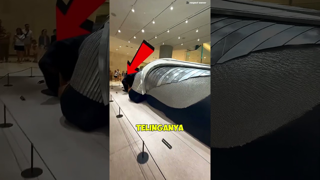 😱🐶 Anjing Rahasia di Mall! Semua Terkejut 🤯✨ #shortvideo #facts #viralvideo