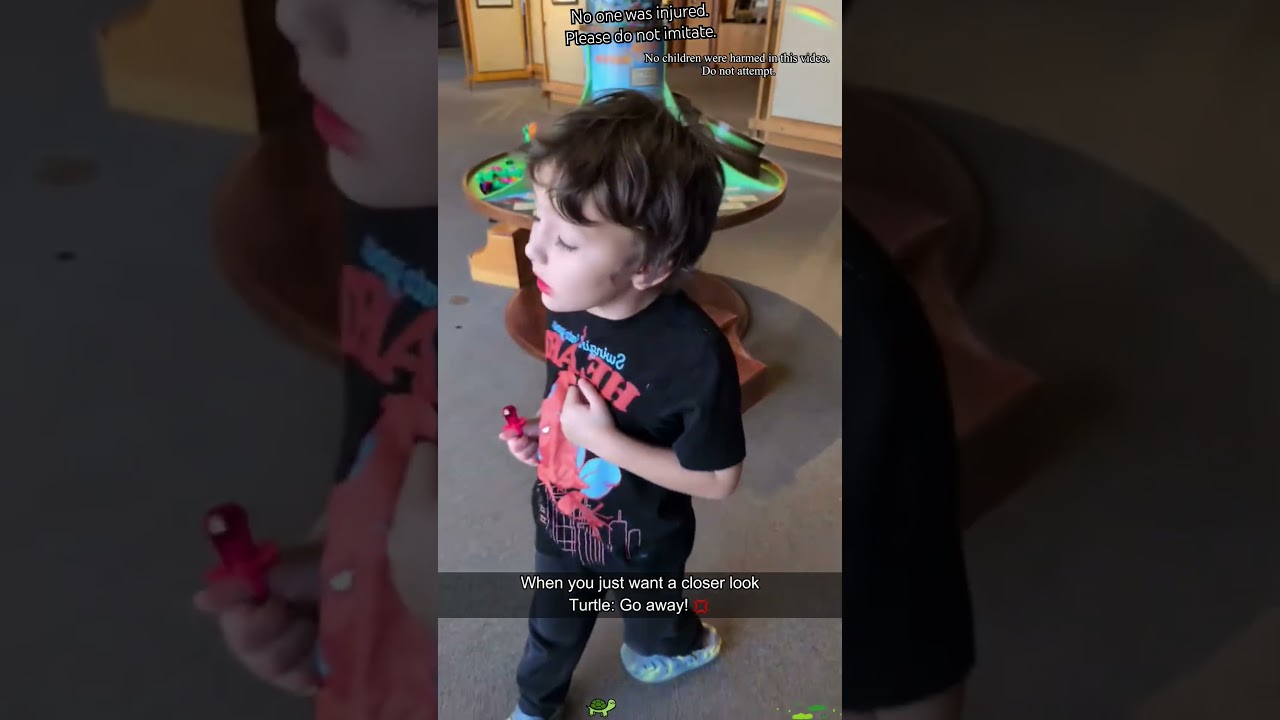 Turtles running on their own agenda 🐢 #funny #foryou #animals #turtle