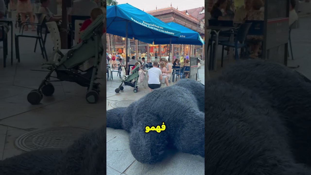 الغوريلا ظهرت فجأة وسط الناس 🦍! #shorts