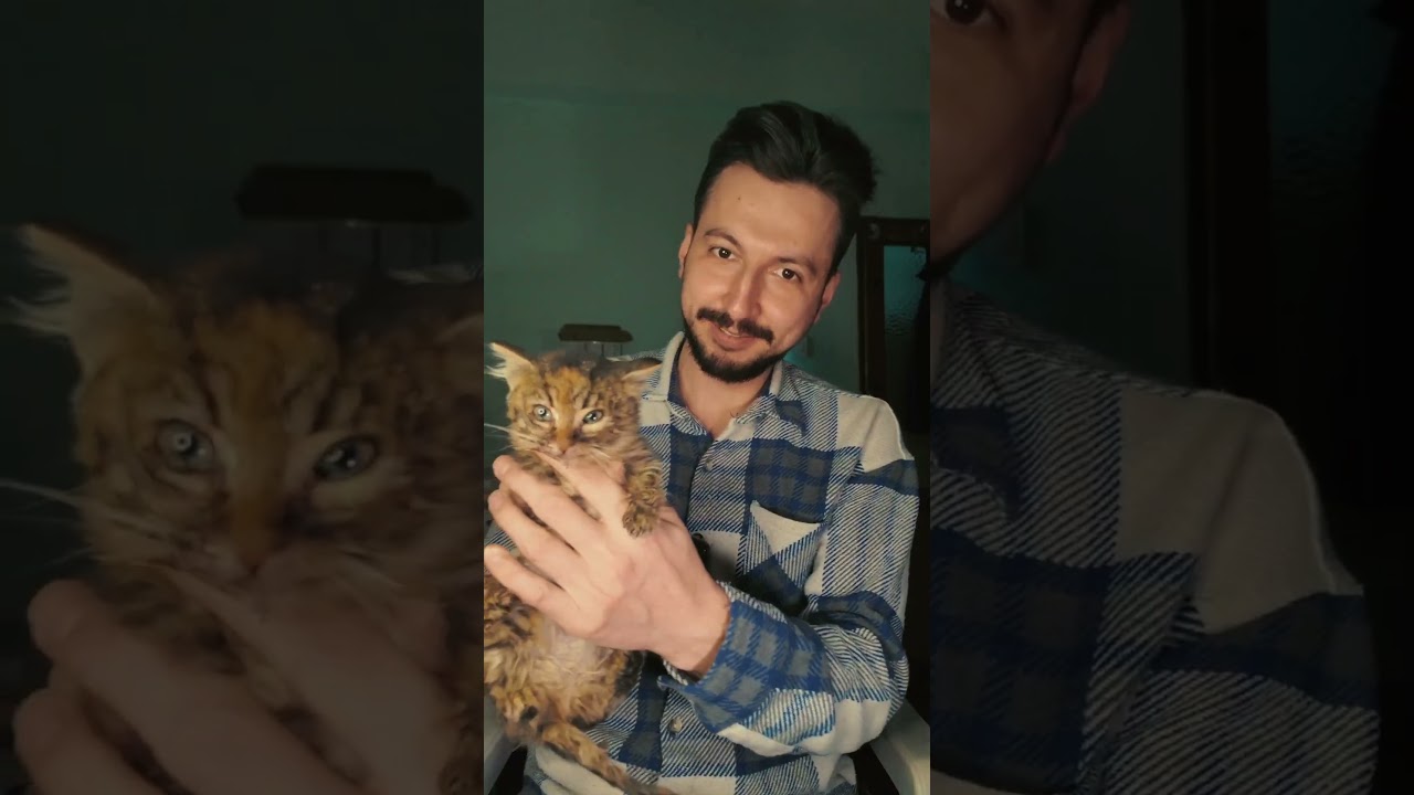 NE KALDI İNADINDAN 🥹KONUŞTUM ANLADIĞI DİLDEN ❤️#shorts