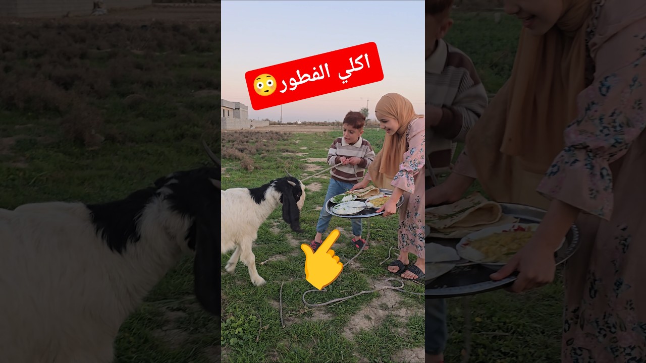 كنان وصديقته ينطون الفطور للحيوانات😳 شوف داود شسوه😱 #اكسبلور #funny #تيك_توك #shorts #داوودالمهاجر