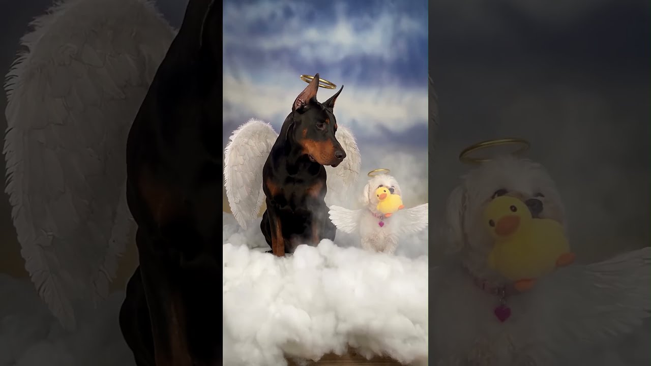 Cherry Pushed Storm Down the Slide… Then Karma Hit 🦆