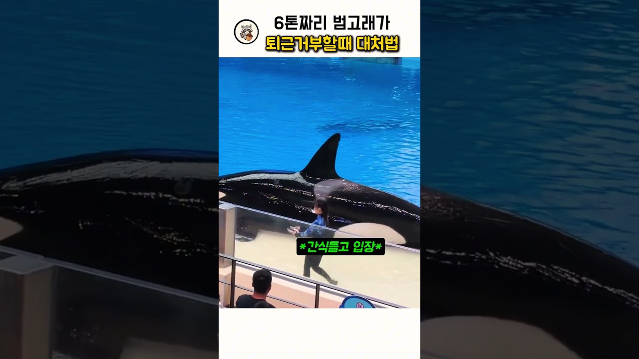 😭😭소리를 확인하지 마세욧!😭😭"Please do not check the sound."