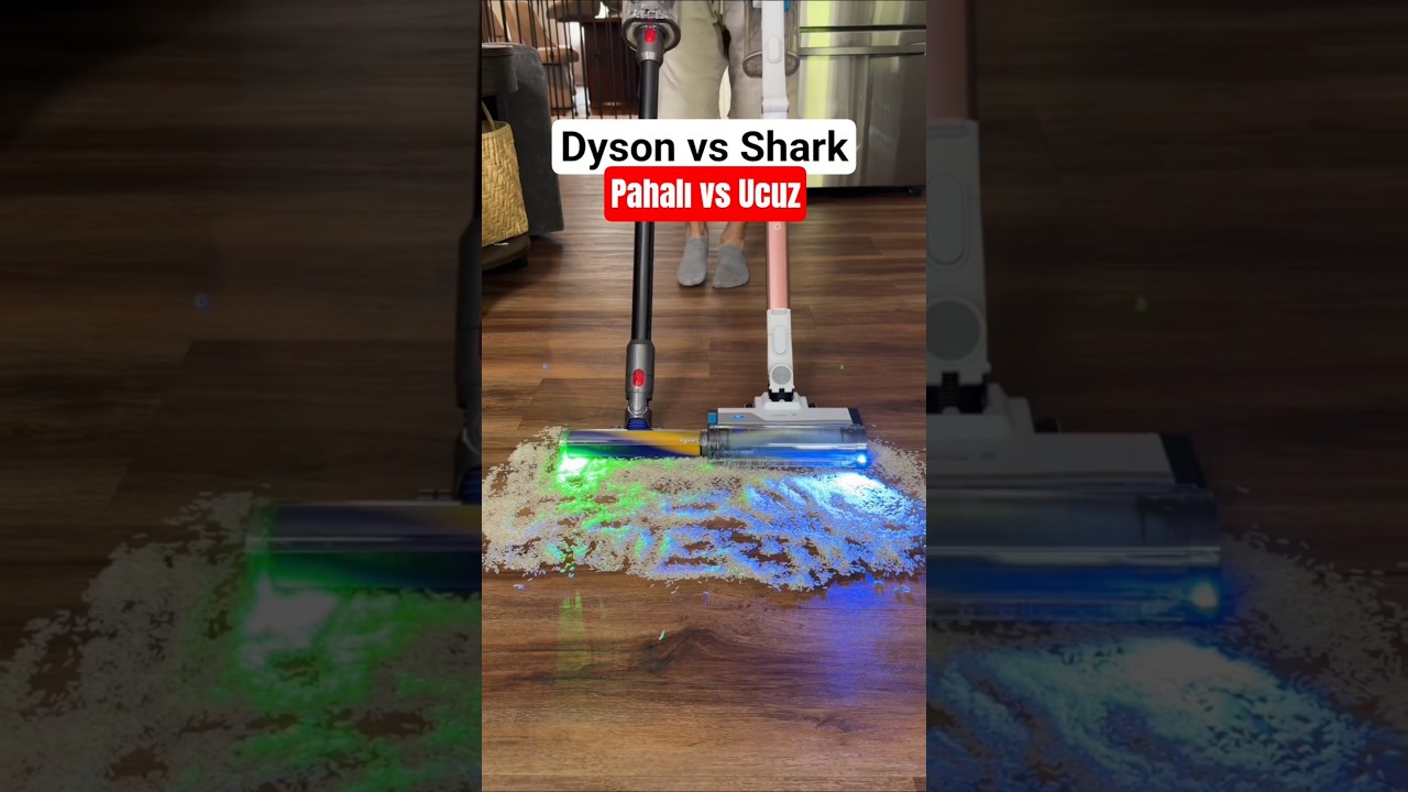 Dyson vs Shark Dik Süpürge Karşılaştırma