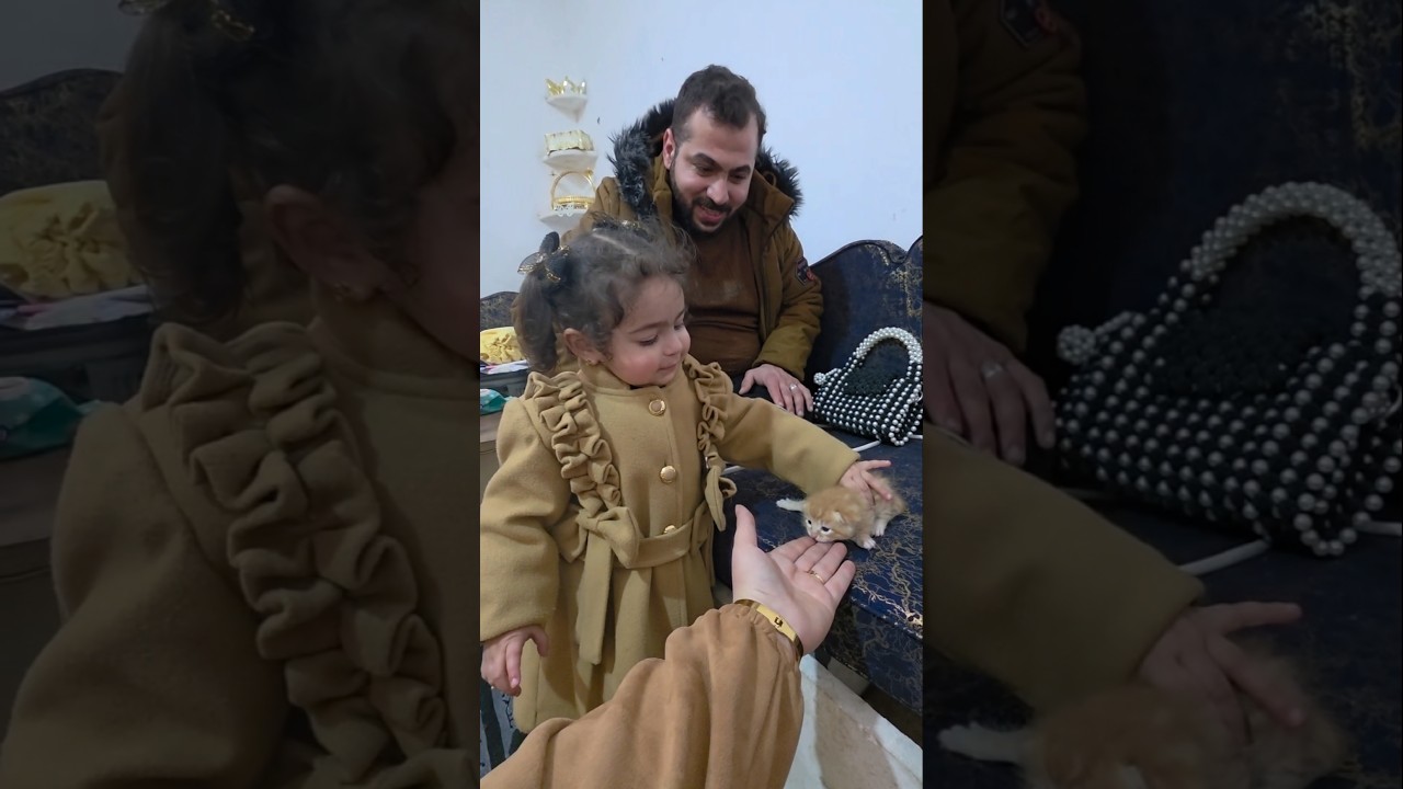 ميلا شافت قطة صغيرة كتيييير😍 #رموش #فاميلي #ميلا