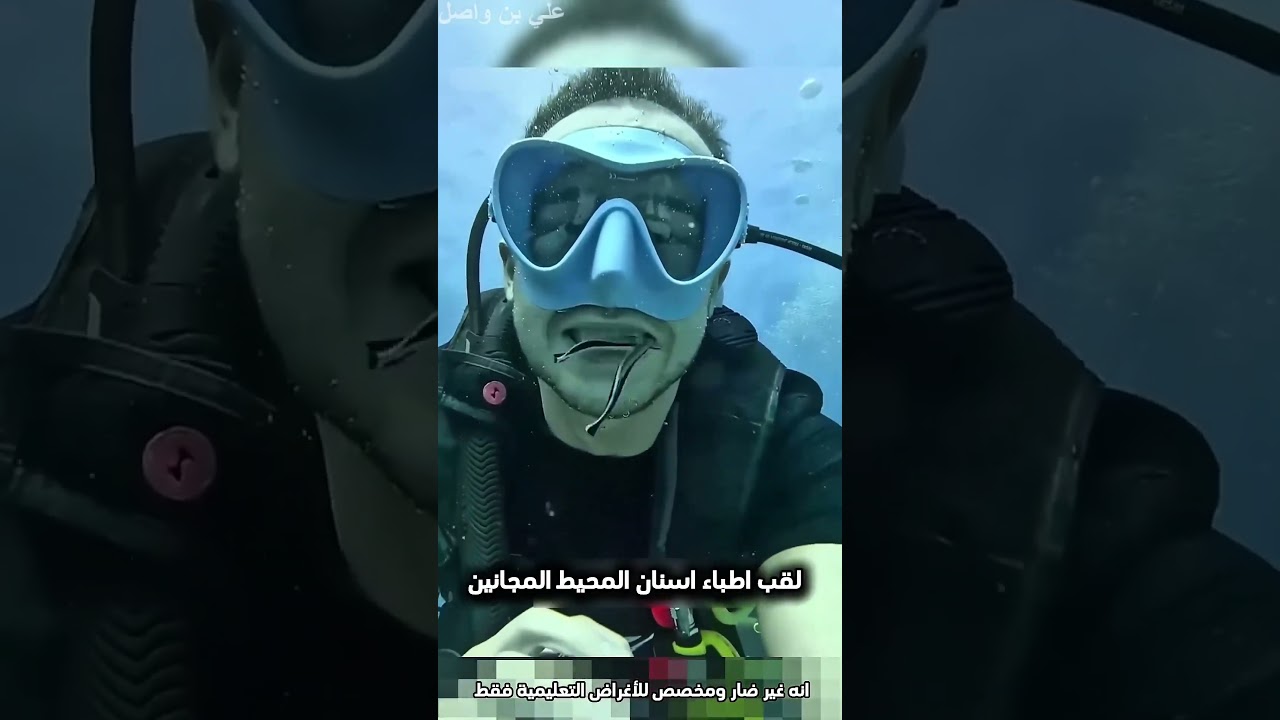 يريد يطعمي السمكة بطريقة رائعة ومميزة وبعدها...!#shorts #shortvideo #shortsfeed #اسلاميات