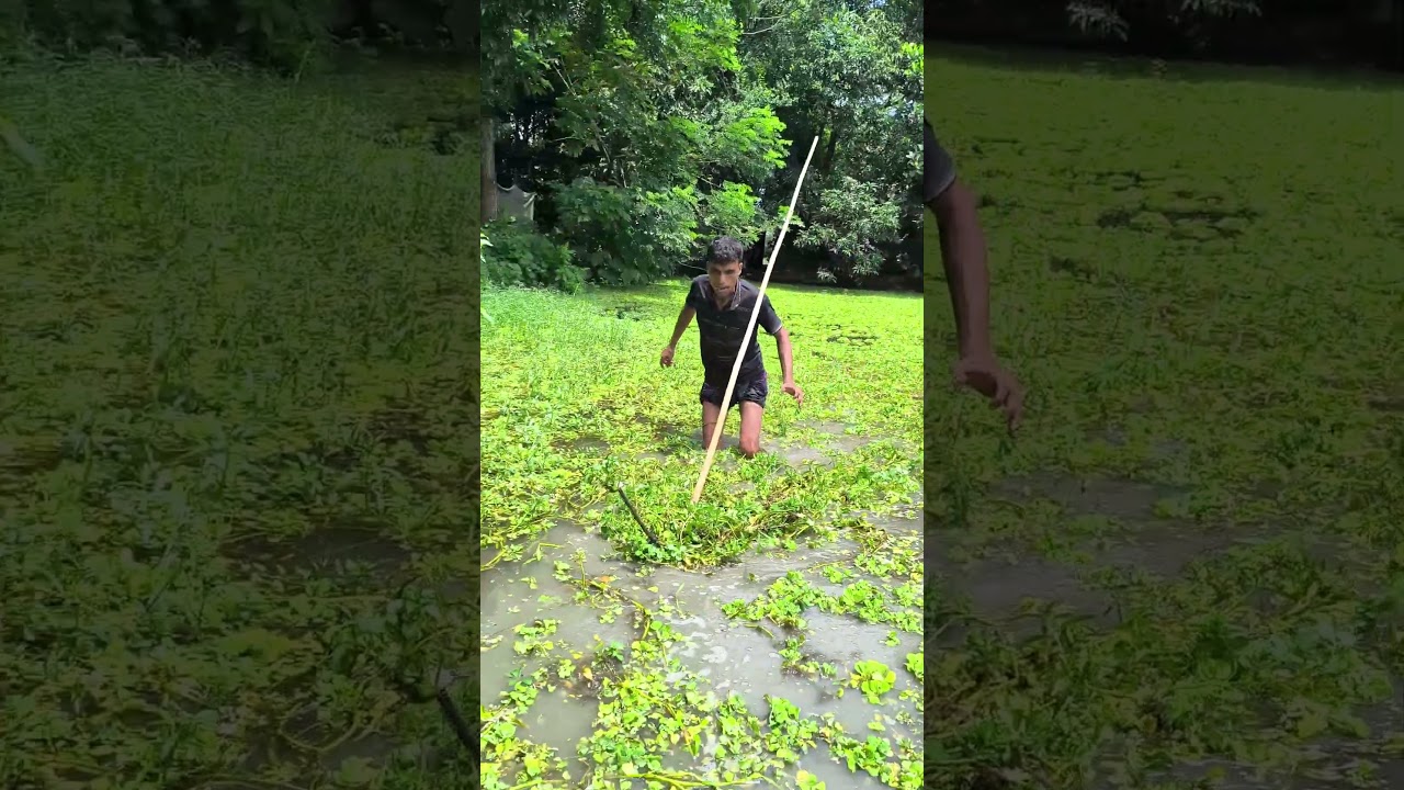 #reels #foryou #fishing #trending #vairalvideo