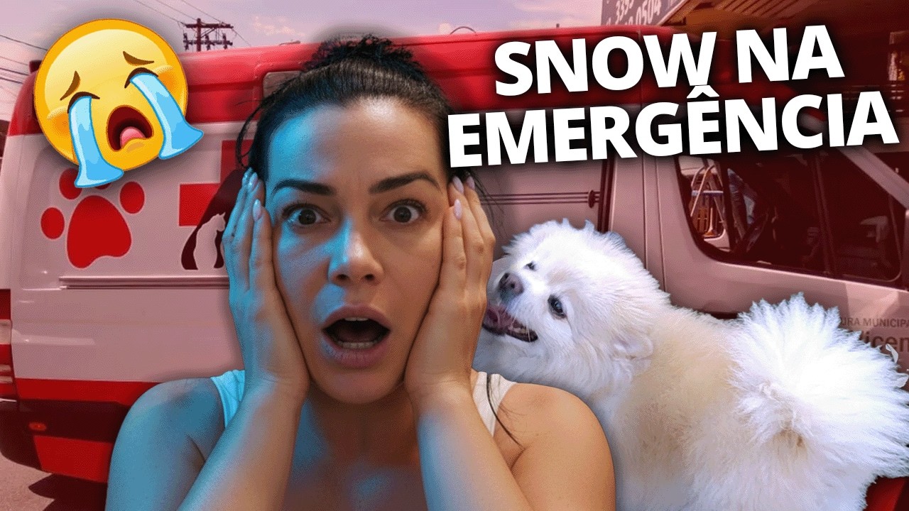 DUDA ESTÁ NOIVA + PRECISAMOS CORRER PRA EMERGÊNCIA SNOW ELE NÃO TA BEM