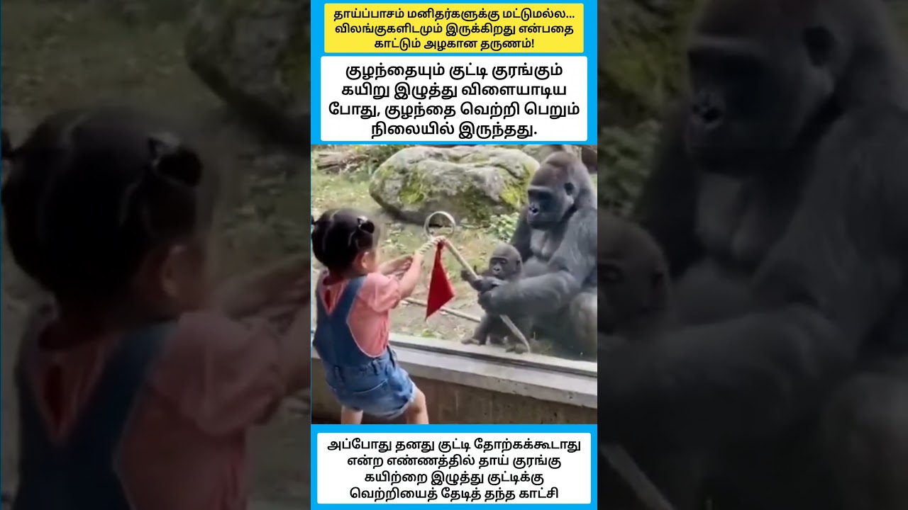 தாய்ப்பாசம் மனிதர்களுக்கு மட்டுமல்ல... #shorts