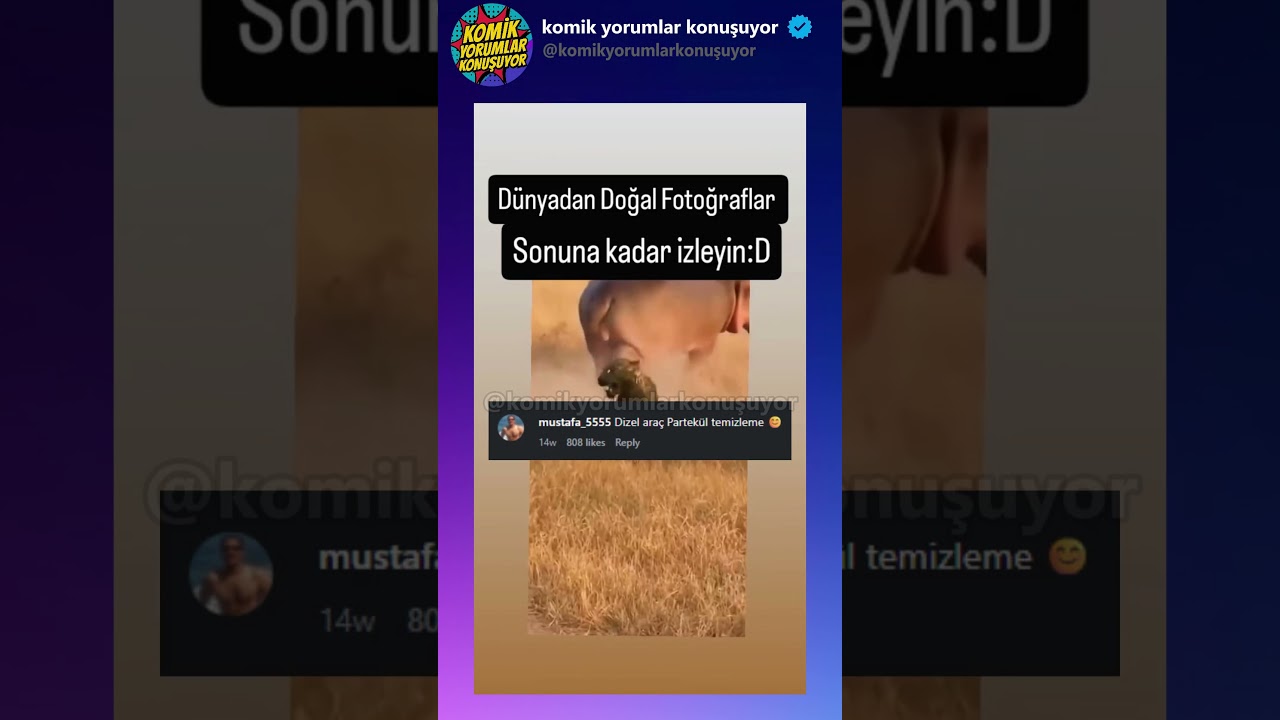 Ava giderken av oldu! #animals #shortvideo #komikyorumlar #komikvideolar #shorts #shortsvideo