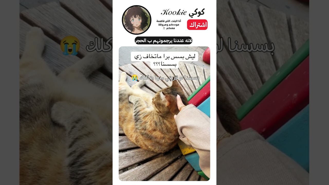 بسة عايشة دور المواطنة الصالحة ✨