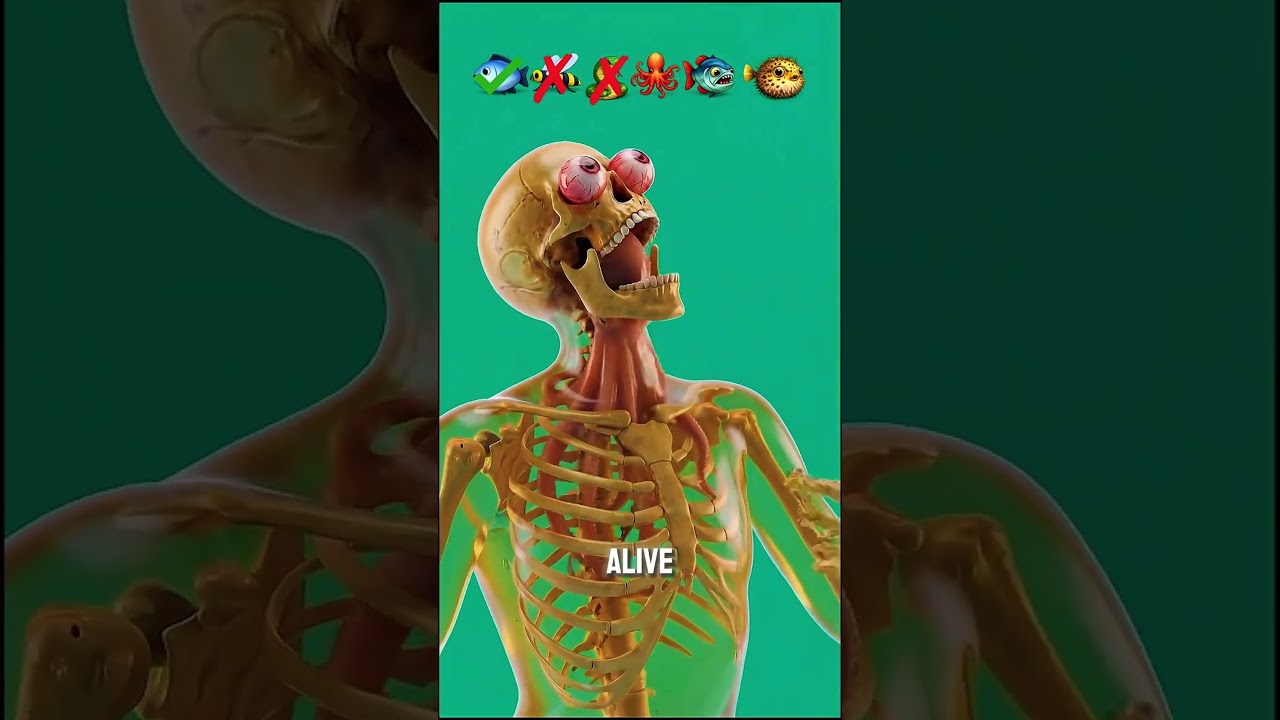 Which animal could kill you if you ate it alive 😳