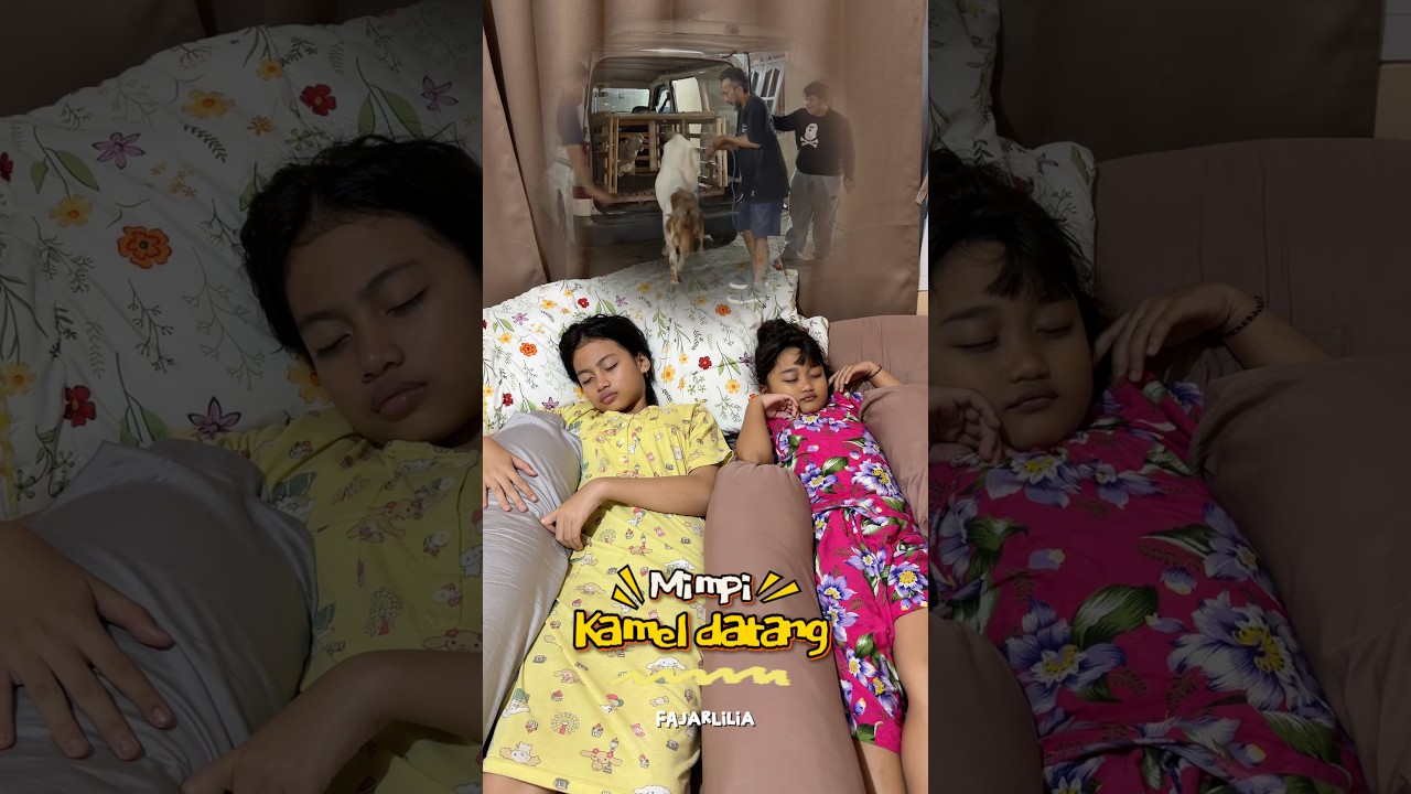 MIMPI KAMEL DATANG #dramangakak