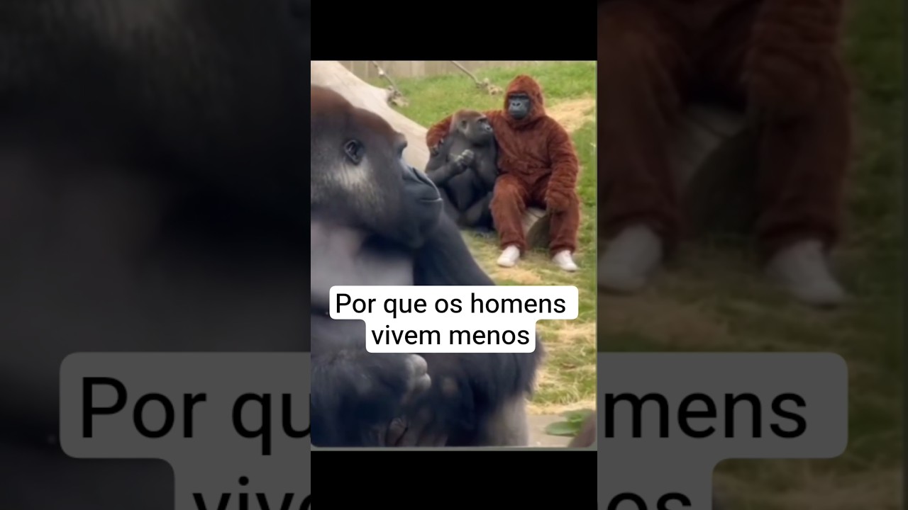 #engracado #gorila #macaco 👉🏻#mesigam 👈🏻😜😅🤣