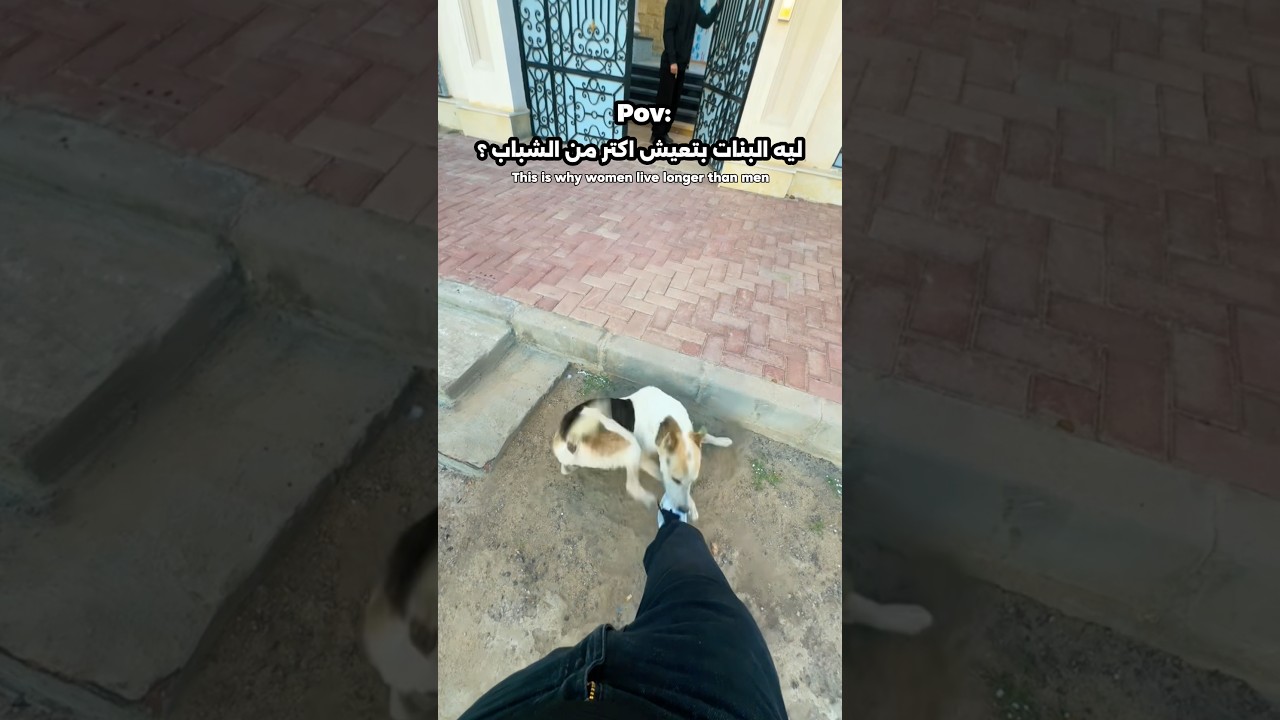 مش هتصدق حصل اي مع الكلب🤯🤦🏻!!