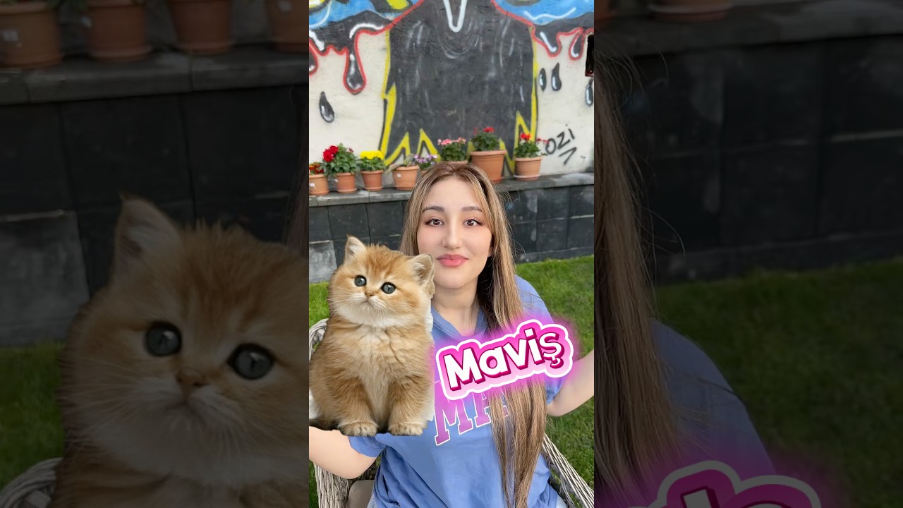 Kızların vs erkeklerin kedilere koyduğu isimler ￼