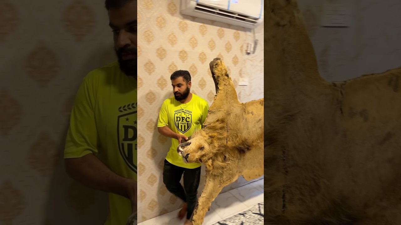 Simba plzz come back son is missing you😭#ytshorts #petlover #viral #youtubeshorts #lion #india #yt