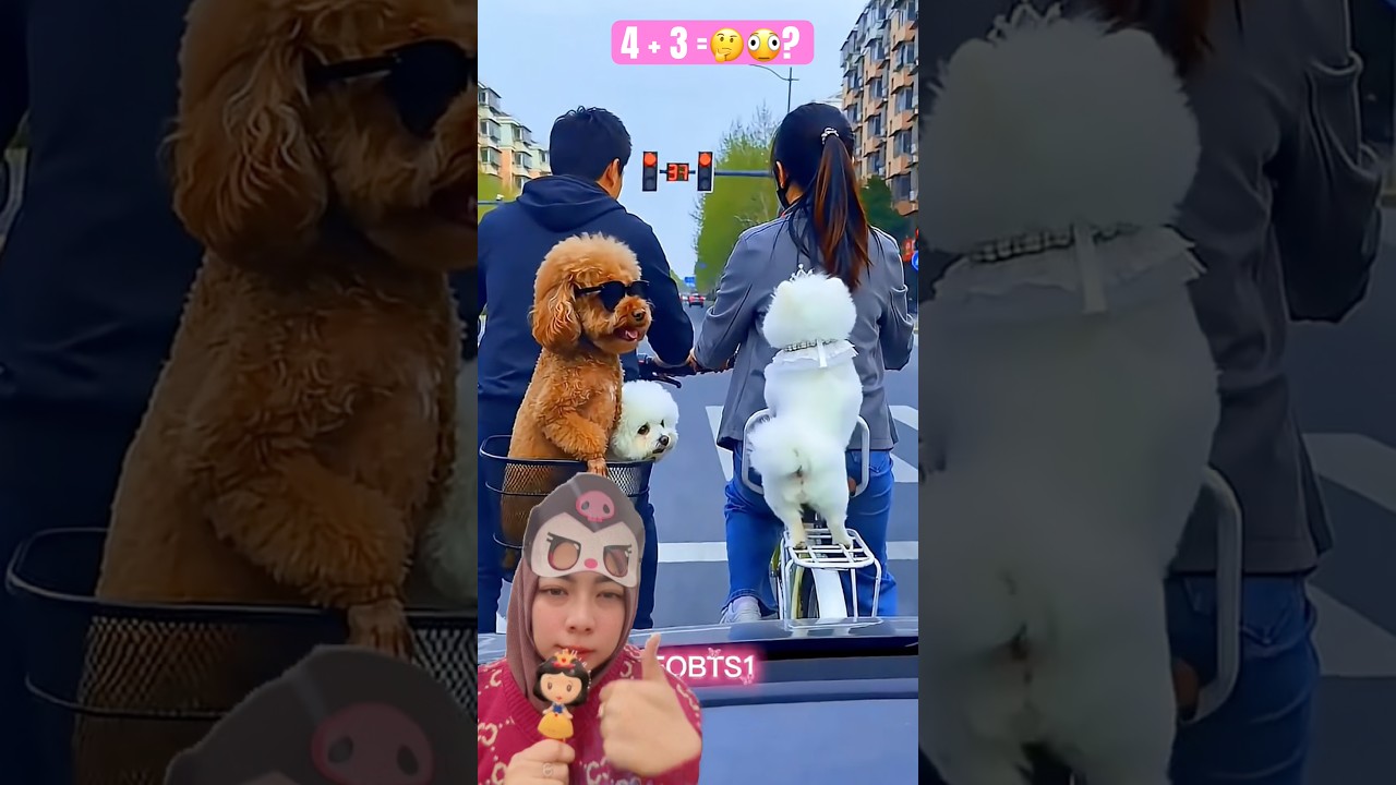 Udh Sok Cantik‼️Eh, Malah Ditolak Mentah-Mentah😱🤣