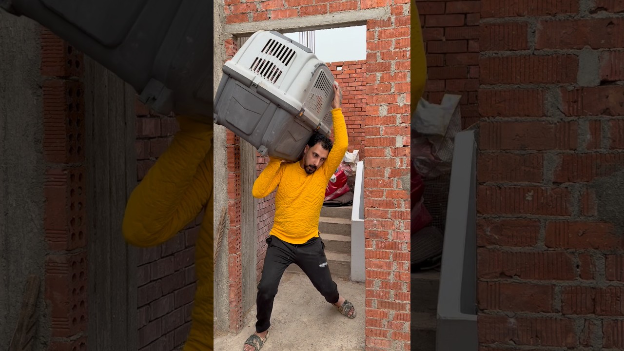 اشتريت كلب مستورد بجميع اوراقه😂