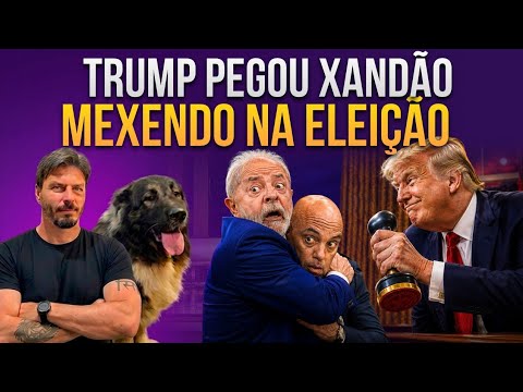 TRUMP ENCURRALA XANDÃO E LULA ENTRA EM PÂNICO