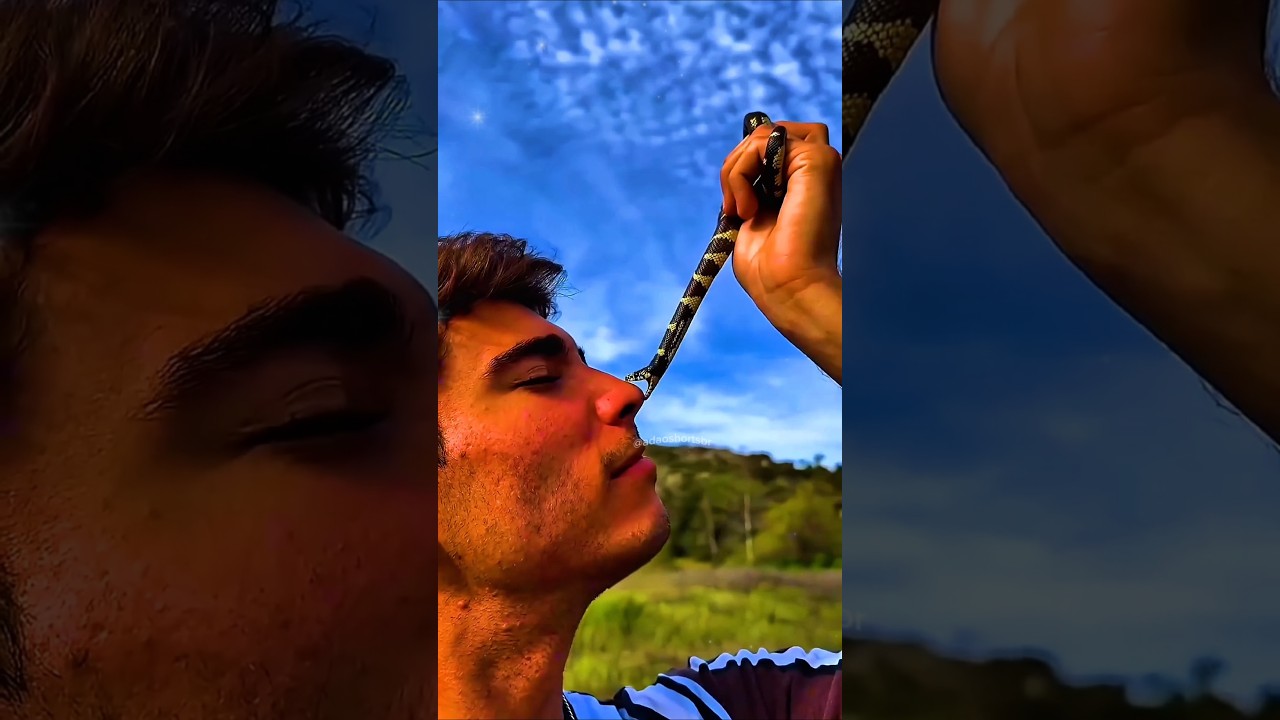 🐍 Filhotes de cobra são mais perigosos?