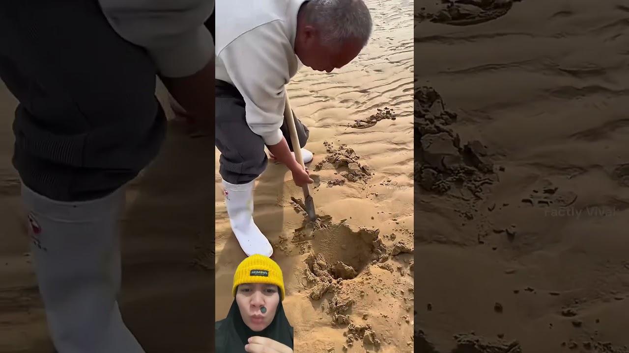 KAKEK GALI LUBANG DIPANTAI PAKAI SEKOP #shorts #comedy #funny
