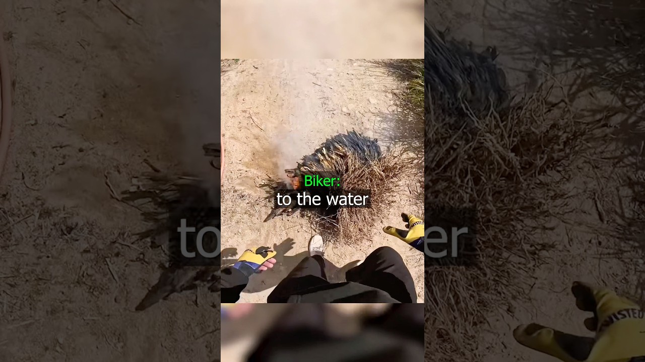 Biker Throws The Fire !😱 - Published by Driver Show