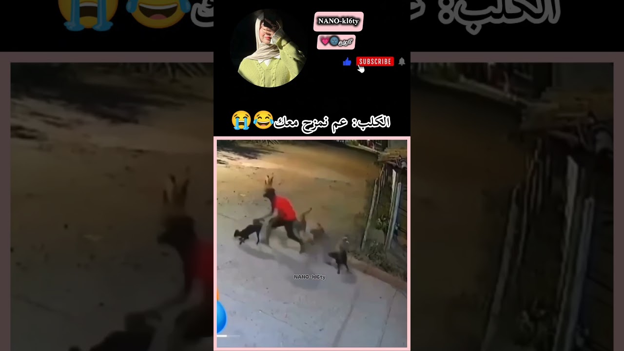 صدمة عمرو للكلب😂💔 #shortvideo