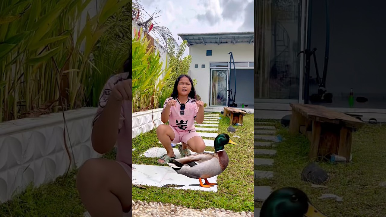 Ini eek bebek ini eek rusa ini eek kangguru 🦆🦌🦘 #animals