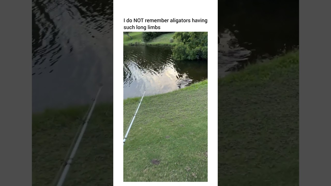 They can run up to 22mph btw… you cannot