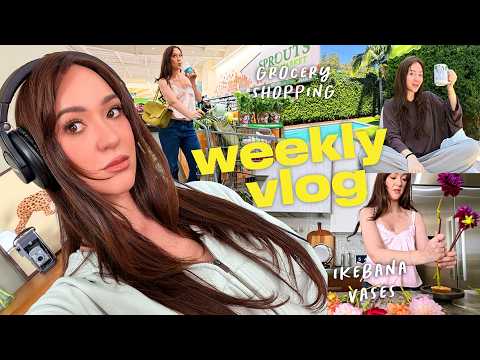 Grocery Shopping, New Hobbies, Traveling to Chicago w/ Remi, and More!!  📹🌷 *Weekly Vlog*
