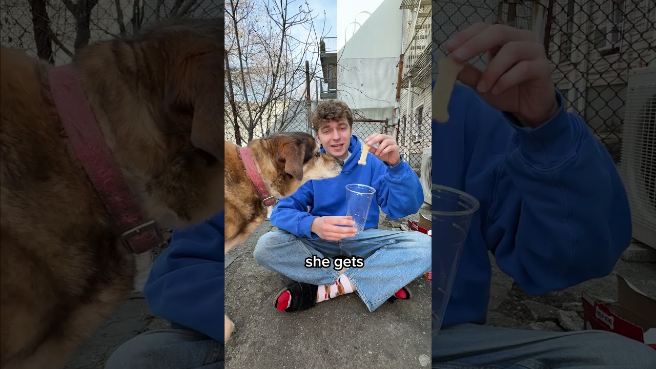 Make My Dog Happy 🥰