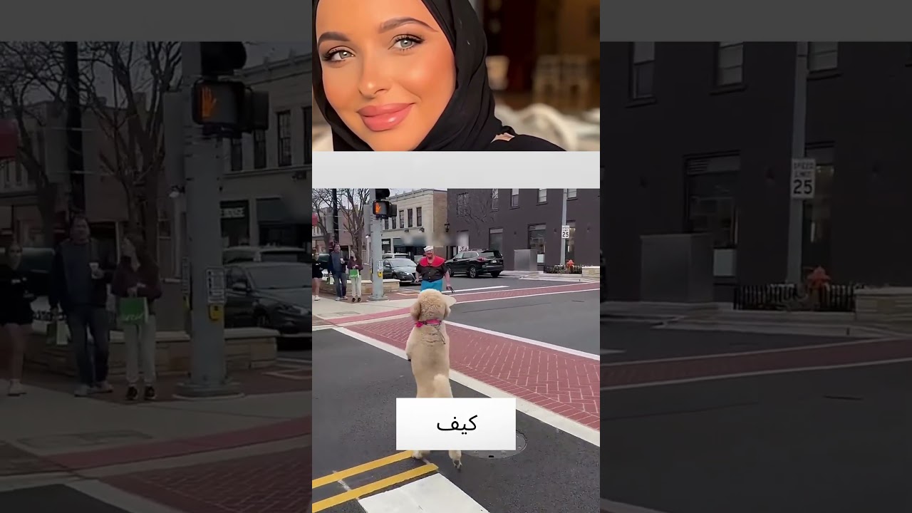 الرجل صاحب الكلب قام بغلطة كبيرة !! 🦮 #shorts