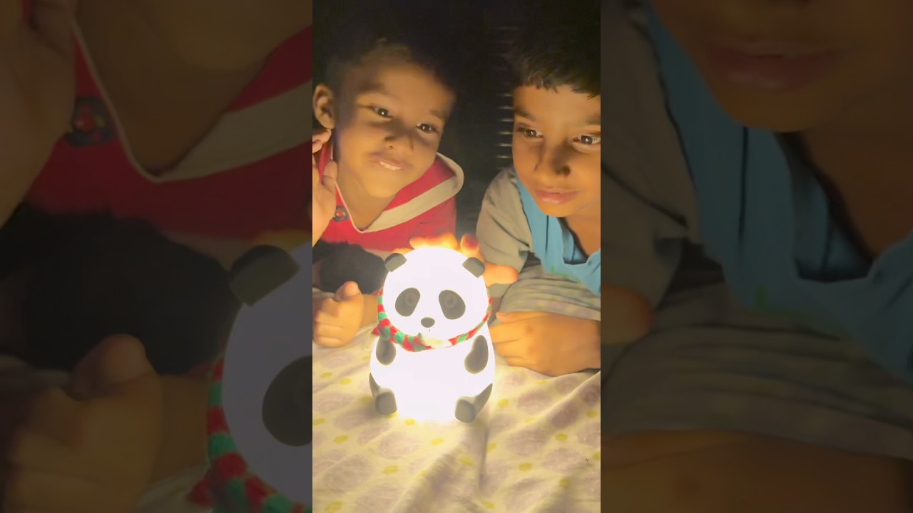 Anant ko light wala panda 🐼 mila