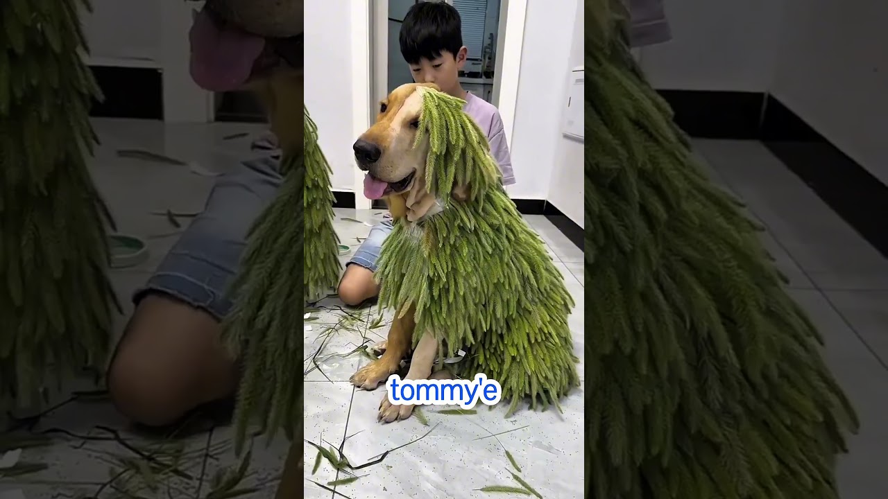 Bu Köpeğin Hali Ne Böyle 😱🤣🤯