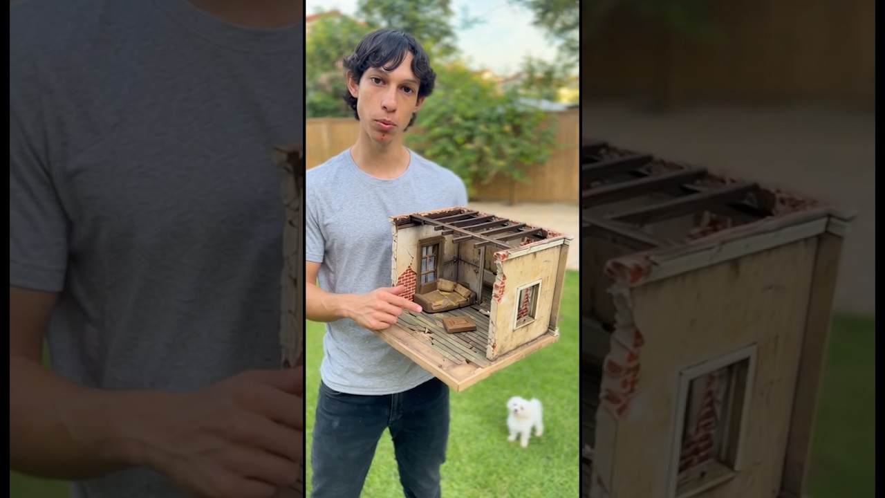 O meu cãozinho só tinha uma pedra para brincar até ver a sua nova mansão! 😱💎😭