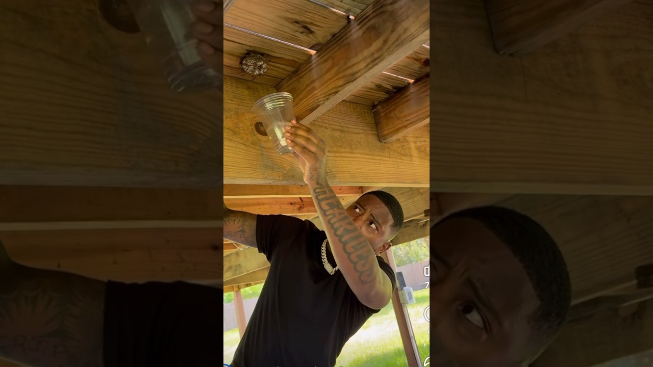 Funny Mike tries the gas method on wasp😂😂😂 #funnymike #hag #funnycam #funny - Published by parrain