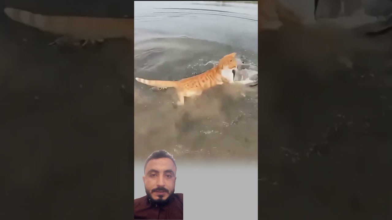 ولله جنود السماوات والأرض 🥺🙁