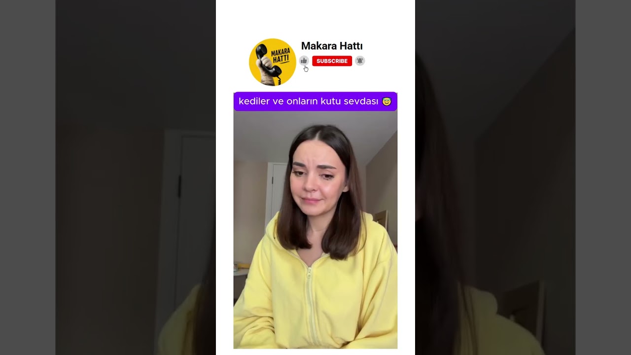 kediler ve onların kutu sevdası 😂