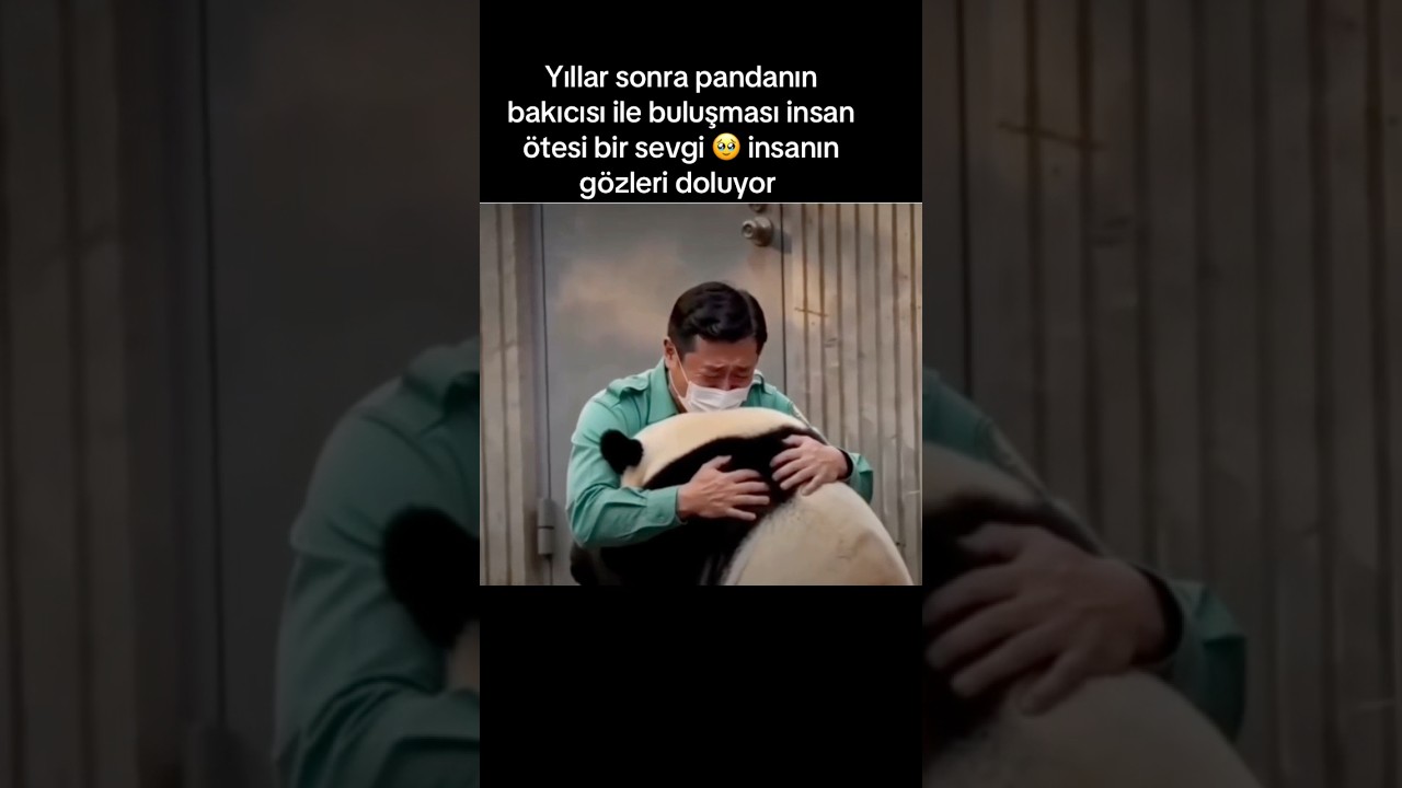 Onlar çok vefalı değil mi sizcede ?#hayvansevgisi #duygusal #panda #kesfet