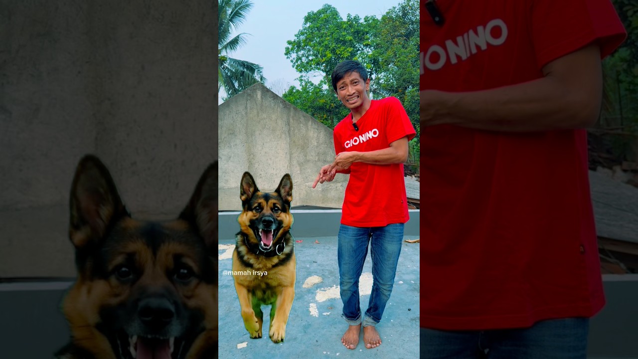 Ada Anjing Galak?..Masuk Rumah