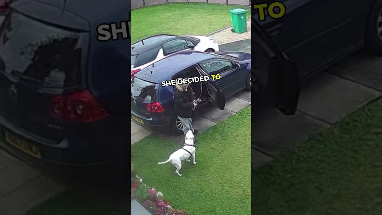 Dog took a shocking decision and THIS happens! 🤯💛 #cuteanimals #entertaininganimals #pets