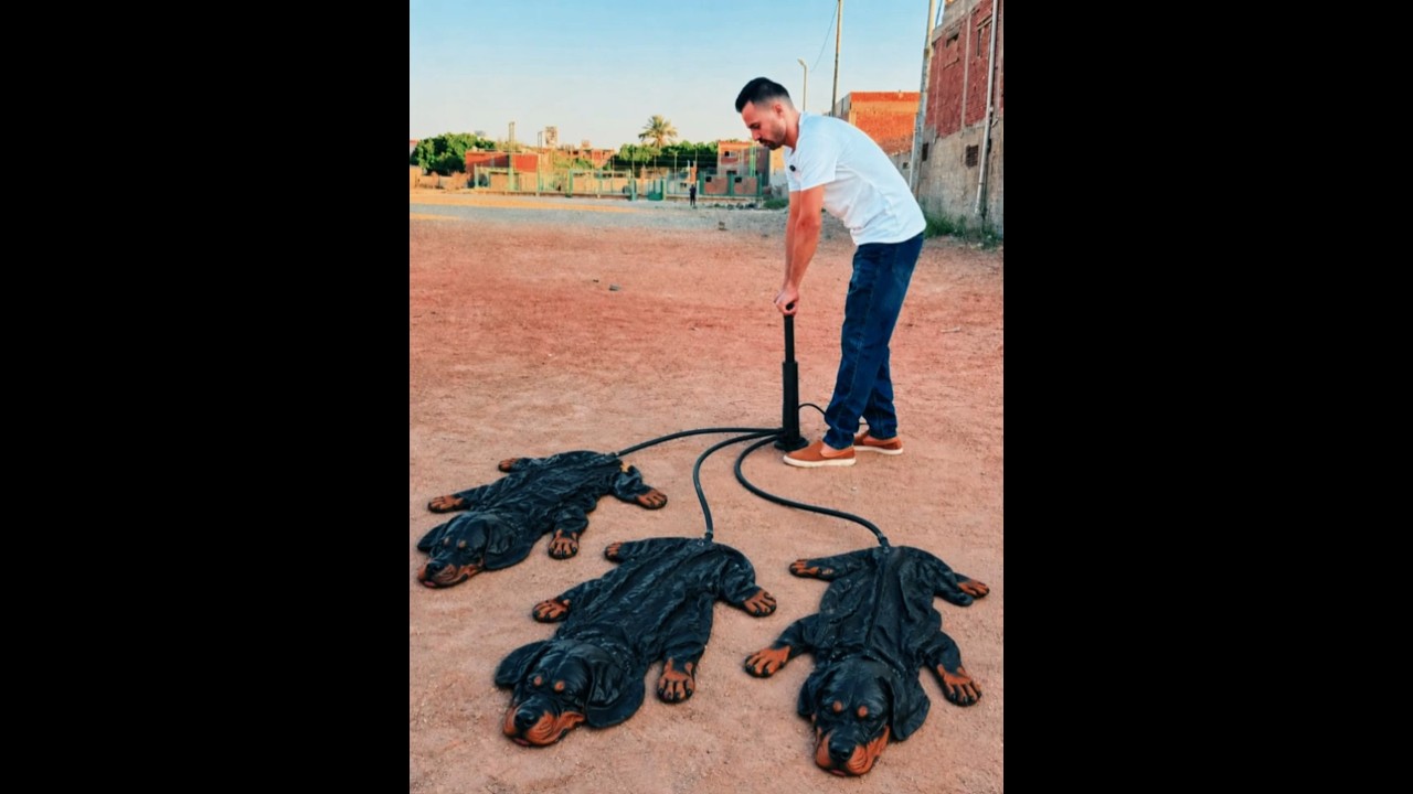 نصـ ب على شخص وباعله كلاب روت مش حقيقيه والى حصل بعد كده غريب جدا