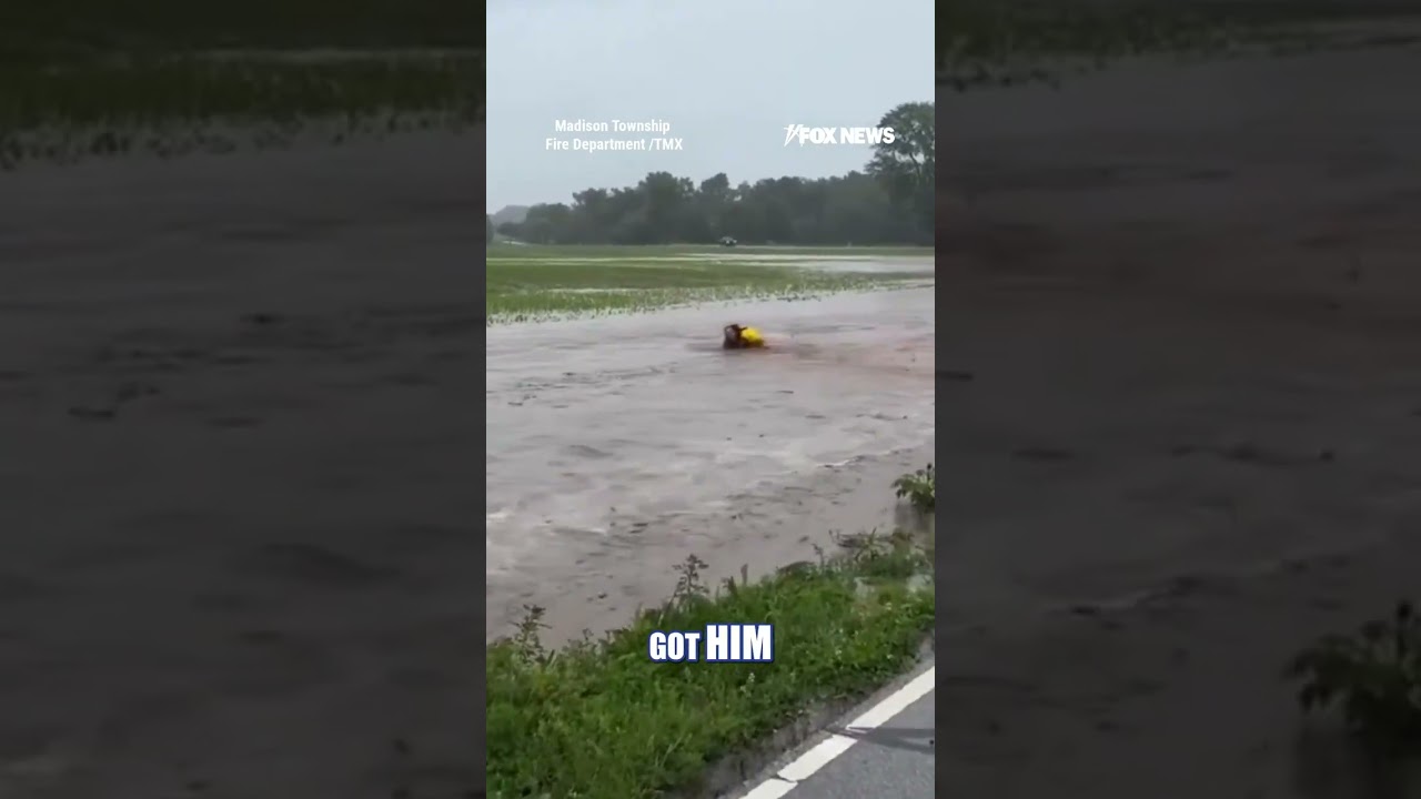 WATCH: A fire captain jumped into rushing floodwaters to save a baby deer