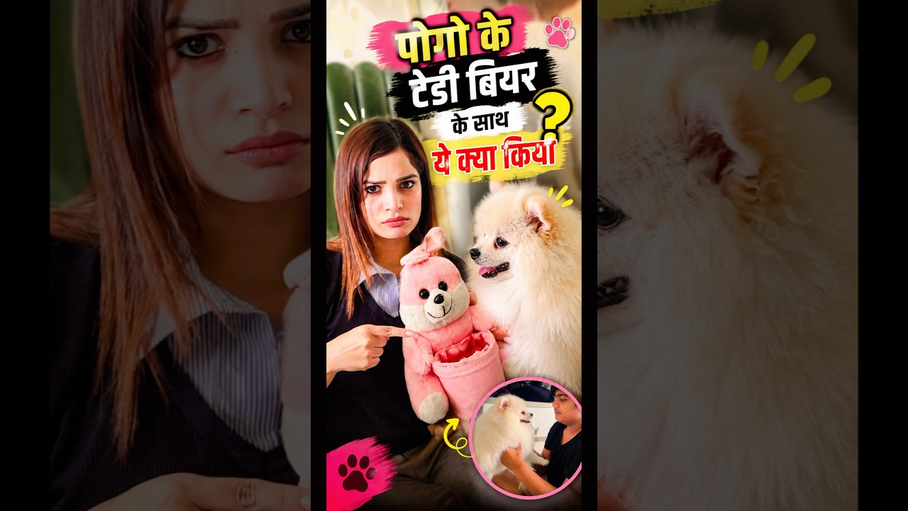 Pogo ke teddy bear ke sath🥺🧸#youtubeshorts #sad #cutedog