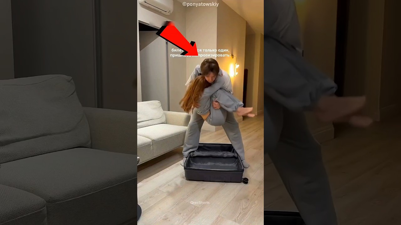 Mala no Avião 😱✈️ #Catsoftiktok #CatLovers #cat #cute #FunnyCats #catcartoon #fyp